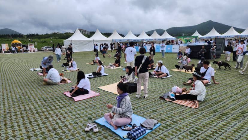 제주 반려동물 문화산업 한마당 사진